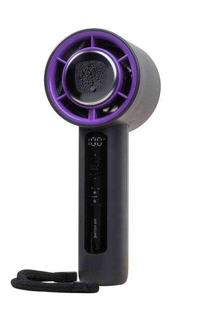 AirBlizz B1